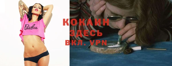 дмт Абаза