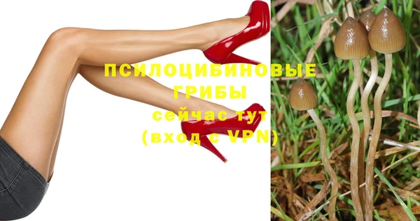 дмт Абаза