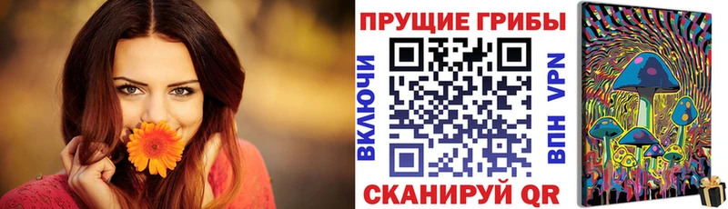 Псилоцибиновые грибы ЛСД  где купить наркоту  Темников 
